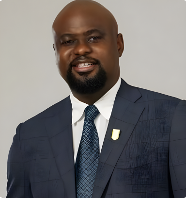 Hon. Chukwuemeka Ujam, B.Engr, M.Sc, PhD, FNSE, mni